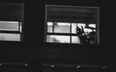 Art’s Role in a World of Shifting Narratives